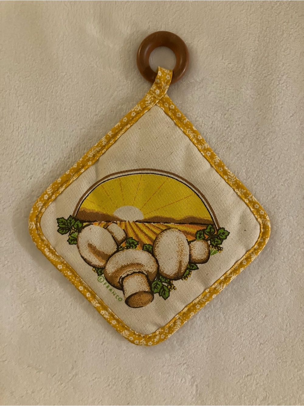 Vintage Franco 1970’s Merry Mushroom Collection Potholder
